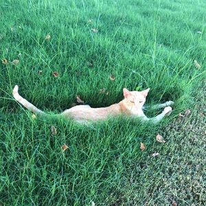 Meet your Posher, Ann